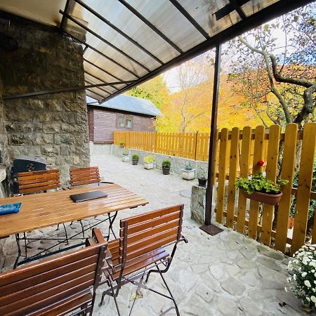 Apartment Carol Private Yard With Barbeque And Parking Sinaia Kültér fotó