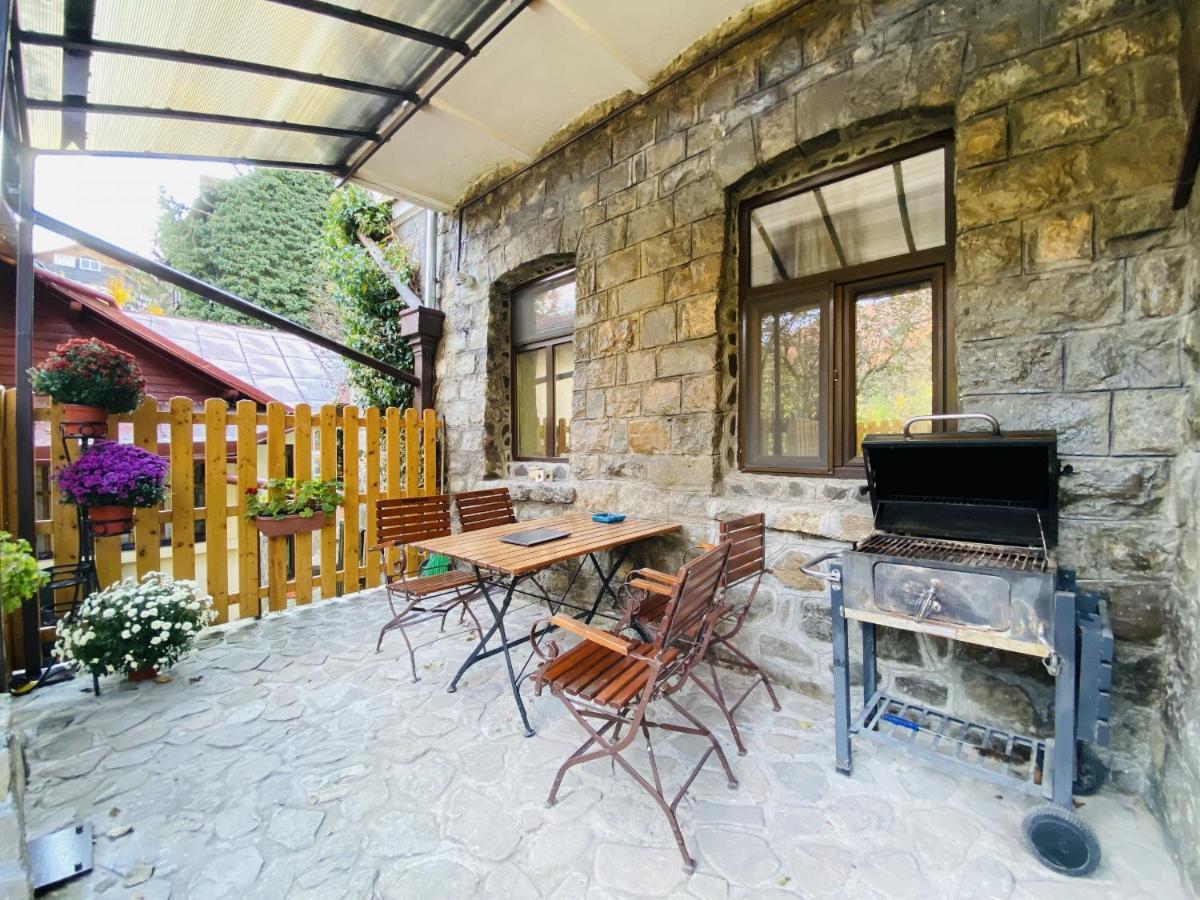 Apartment Carol Private Yard With Barbeque And Parking Sinaia Kültér fotó