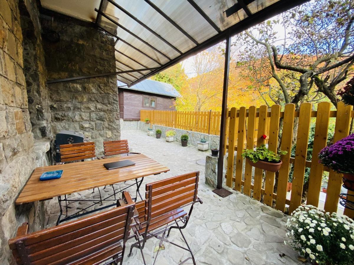 Apartment Carol Private Yard With Barbeque And Parking Sinaia Kültér fotó