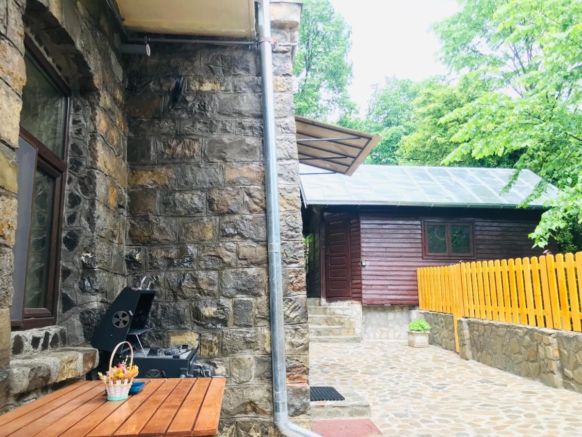 Apartment Carol Private Yard With Barbeque And Parking Sinaia Kültér fotó